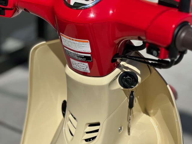 �z���_�X�[�p�[�J�u110�i���Q�������s�j�摜12