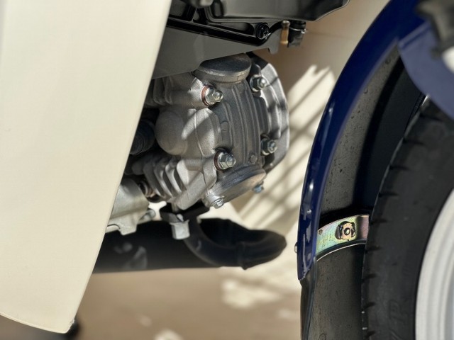 �z���_�X�[�p�[�J�u110�v���i���Q�������s�j�摜20