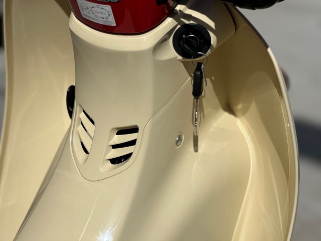 �z���_�X�[�p�[�J�u110�i���Q�������s�j�摜13