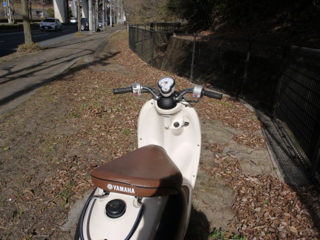 ���}�n�r�[�m�i�L�����L���s�������j�摜10