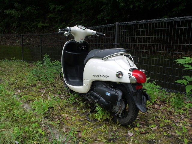 �z���_�W�����m�i�L�����L���s�������j�摜7