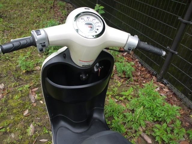 �z���_�W�����m�i�L�����L���s�������j�摜10
