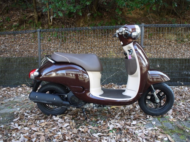 �z���_�W�����m�i�L�����L���s�������j�摜1