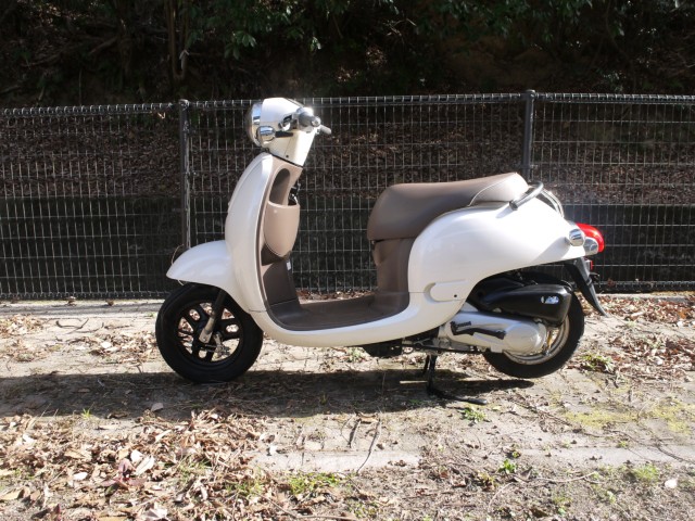 �z���_�W�����m�i�L�����L���s�������j�摜2