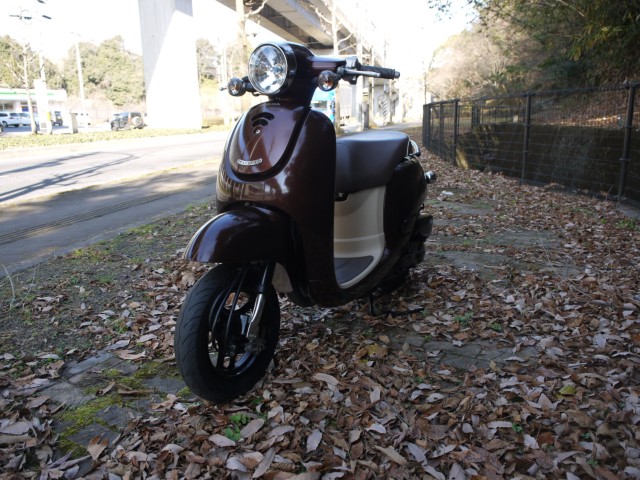 �z���_�W�����m�i�L�����L���s�������j�摜5