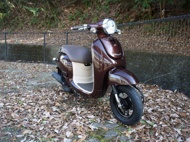 �z���_�W�����m�i�L�����L���s�������j�摜6