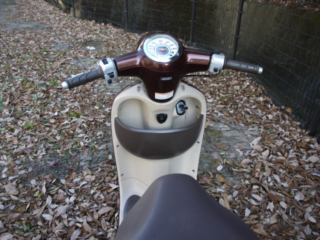 �z���_�W�����m�i�L�����L���s�������j�摜9