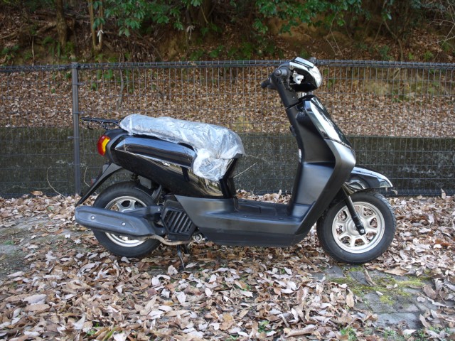 �z���_�^�N�g�i�L�����L���s�������j�摜1