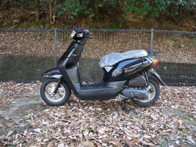 �z���_�^�N�g�i�L�����L���s�������j�摜2