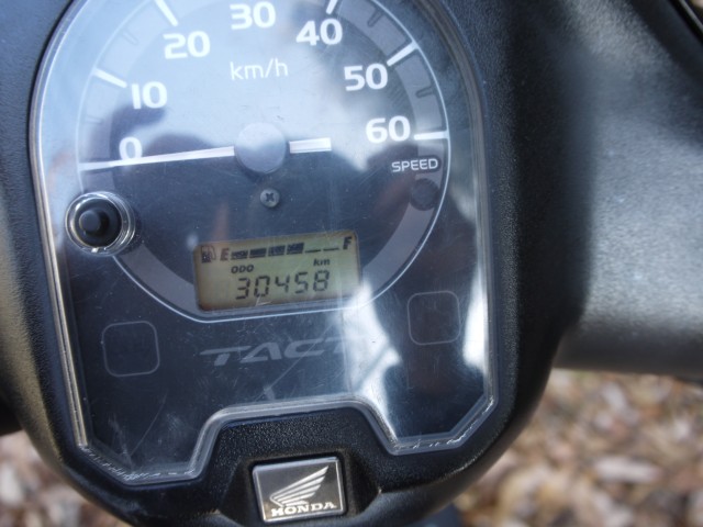 �z���_�^�N�g�i�L�����L���s�������j�摜8