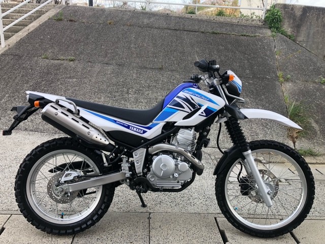 ���}�n�Z���[250�i�L�����L���s���j�摜1