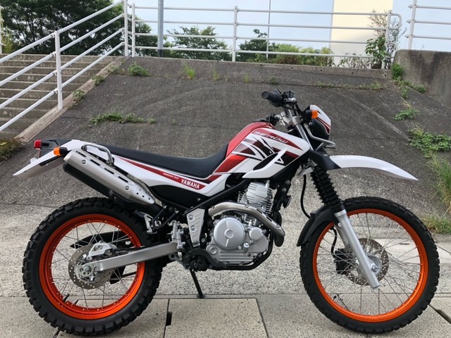 ���}�n�Z���[250�i�L�����L���s���j�摜1
