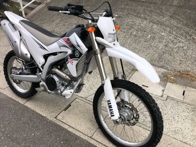 ���}�nWR250R�i�L�����L���s���j�摜2