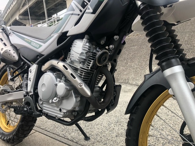 ���}�n�Z���[250�i�L�����L���s���j�摜6