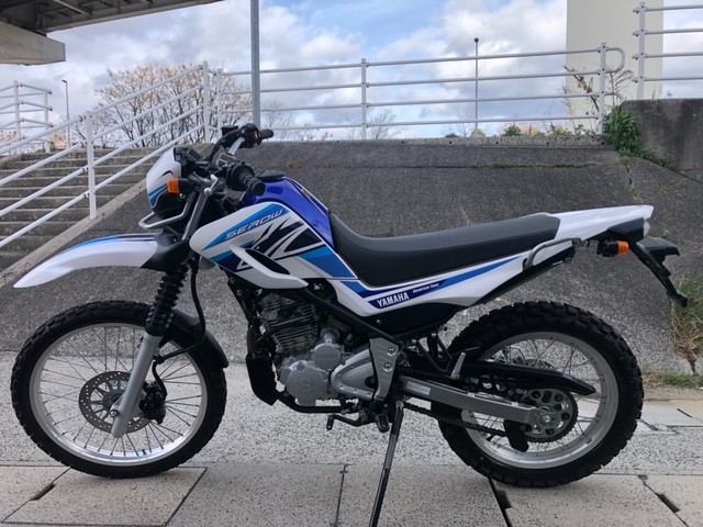 ���}�n�Z���[250�i�L�����L���s���j�摜11