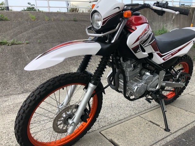 ���}�n�Z���[250�i�L�����L���s���j�摜10