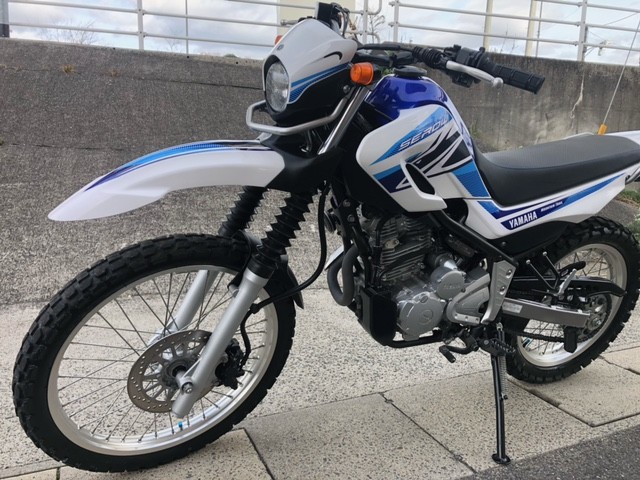 ���}�n�Z���[250�i�L�����L���s���j�摜12