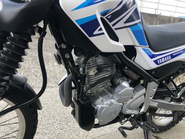 ���}�n�Z���[250�i�L�����L���s���j�摜15