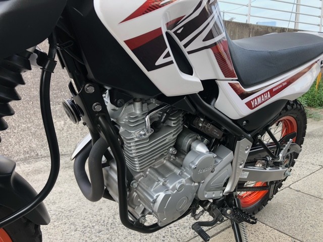 ���}�n�Z���[250�i�L�����L���s���j�摜14