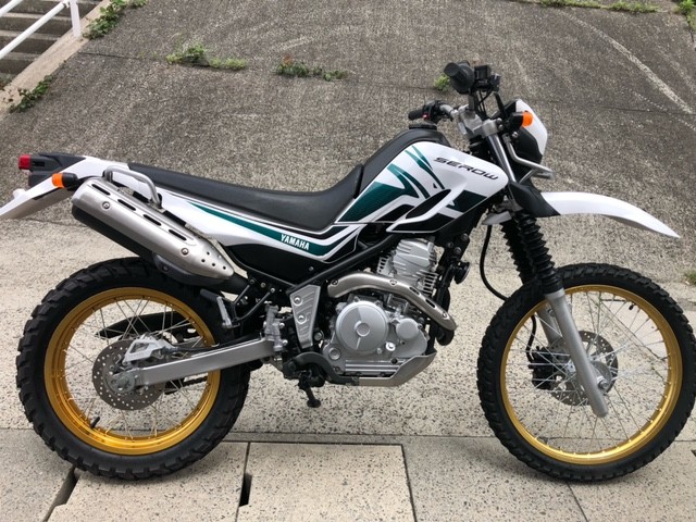 ���}�n�Z���[250�i�L�����L���s���j�摜1