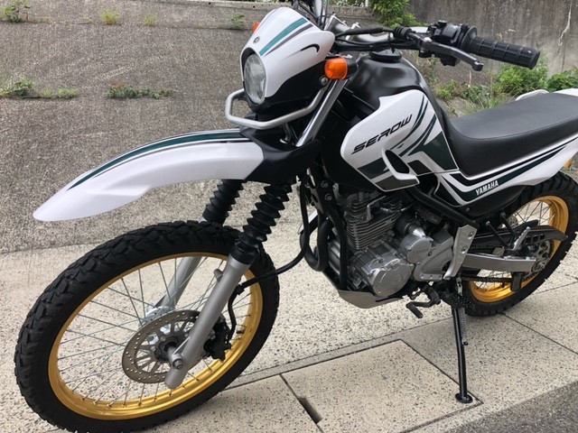 ���}�n�Z���[250�i�L�����L���s���j�摜11