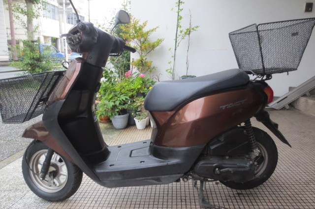 �z���_�^�N�g�E�x�[�V�b�N�i���Q�������l�s�j�摜3