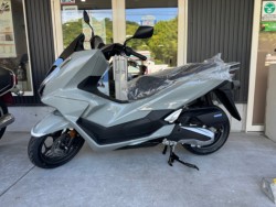 �z���_PCX�i���Q�������l�s�j�摜2
