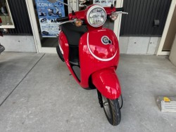 �z���_�W�����m�i���Q�������l�s�j�摜3