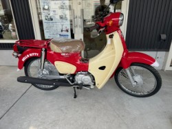 �z���_�X�[�p�[�J�u50�i���Q�������l�s�j�摜2