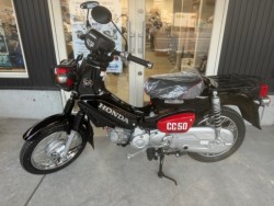 �z���_�N���X�J�u50�i���Q�������l�s�j�摜2