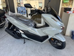 �z���_PCX�i���Q�������l�s�j�摜1