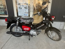 �z���_�N���X�J�u50�i���Q�������l�s�j�摜1