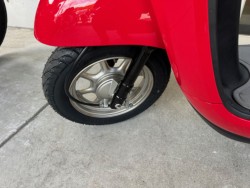 �z���_�W�����m�i���Q�������l�s�j�摜12