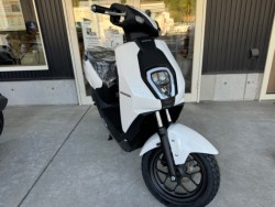 �z���_ICON e:�i���Q�������l�s�j�摜2