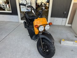 �z���_�Y�[�}�[�i���Q�������l�s�j�摜3