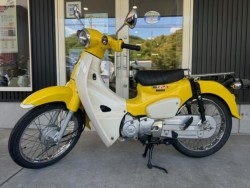 �z���_�X�[�p�[�J�u110�i���Q�������l�s�j�摜2