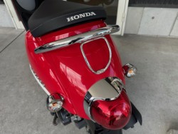 �z���_�W�����m�i���Q�������l�s�j�摜17