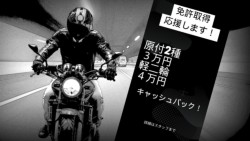 z_OiQRsj摜2
