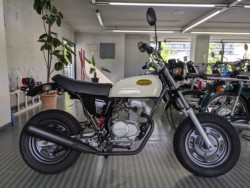 GCv50