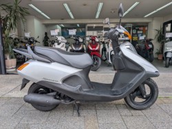 �z���_�X�y�C�V�[100�i���Q�����R�s�j�摜1