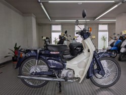 �z���_&nbsp;�X�[�p�[�J�u50 