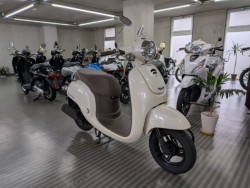 �z���_�W�����m�i���Q�����R�s�j�摜2