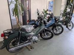 �z���_�Y�[�}�[�i���Q�����R�s�j�摜19