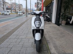 �z���_ICON e:�i���Q�����R�s�j�摜2