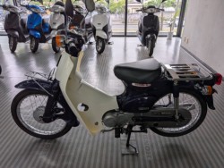 �z���_�X�[�p�[�J�u50�i���Q�����R�s�j�摜3