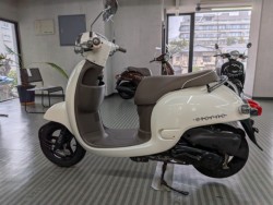 �z���_�W�����m�i���Q�����R�s�j�摜5