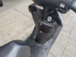 �z���_�X�y�C�V�[100�i���Q�����R�s�j�摜6