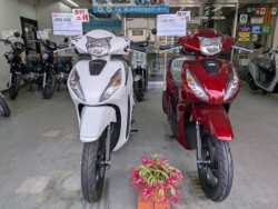 �z���_&nbsp;�f�B�I110 