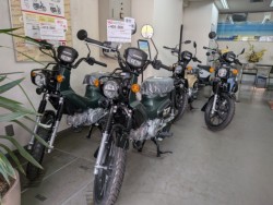 �z���_Cross Cub 110 Lite�i���Q�����R�s�j�摜6