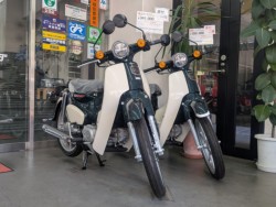 �z���_�f�B�I�i���Q�����R�s�j�摜15
